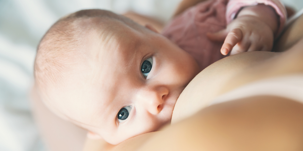 probioticos en la lactancia materna